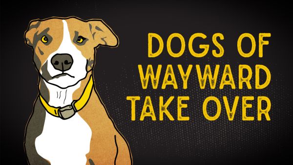 Dogs of Wayward Take Over